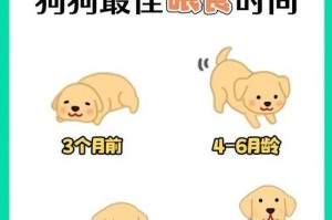 小奶狗每天需要睡眠的时间有多长？（探索小奶狗睡眠时间的重要性及对健康的影响）