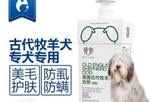 英国古代牧羊犬的养护指南（了解这个可爱的牧羊犬，你需要知道的一切）