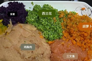 玉米面喂狗的正确煮制方法（为你的宠物提供均衡的饮食，关键是合理煮制玉米面）