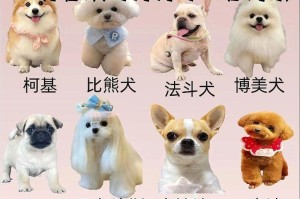 狗狗天地（了解不同狗狗品种及价格，选择合适的宠物伙伴）