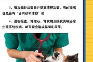 猫咪尿尿的频率与因素解析（探讨猫咪尿尿的次数、原因以及如何管理猫咪的尿频问题）