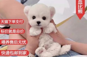 探索7种常见宠物狗的最新价格（了解宠物狗的市场行情与走势，你家狗狗是多少钱呢？）