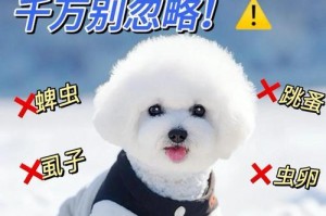 狗狗的驱虫频率及重要性（了解狗狗驱虫的关键因素与方法，让它们健康快乐）