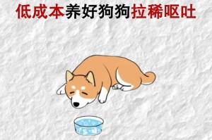 狗狗拉稀问题解决方法（原因、预防和治疗一网打尽）