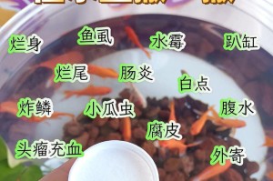 观赏鱼白点病、水霉病、打粉病的区分与治疗方法（一文解读观赏鱼常见病的识别与治疗）