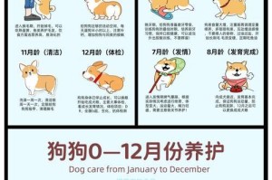 狗狗的第二针疫苗（了解狗狗第二针疫苗的最佳接种时间和注意事项）