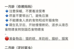 新手养猫必看（从小奶猫到成年猫，你需要了解的每个阶段喂养安排）