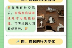 猫咪调皮捣蛋的制止方法（如何有效地让你的猫咪改掉调皮捣蛋的习惯）