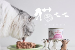 幼猫的离乳期（探究幼猫离乳期的持续时间及其重要性）