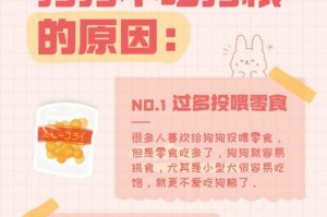 如何让狗狗乖乖吃狗粮？（解决狗狗不吃狗粮的方法及注意事项）