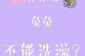 兔子洗澡指南（兔子洗澡的注意事项与细节）