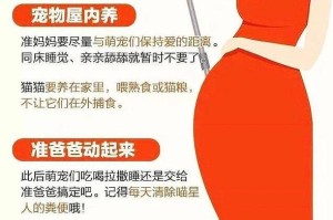 怀孕多久可以养狗狗？（合适时间点选择宠物狗狗的关键）