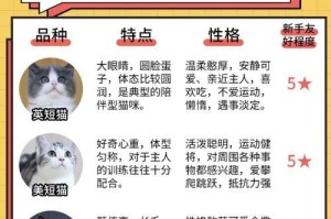 养公猫的优点——为什么选择以养英短是公的好？（优势比较与健康益处）