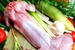 冬天养殖兔子的饲养指南（营养均衡的饲料是保障）