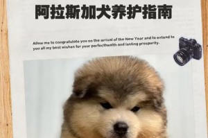 阿拉斯加犬的驱虫计划（保护你的阿拉斯加犬免受寄生虫侵害）