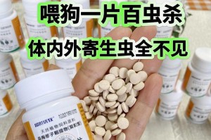 体外驱虫后多久可以出门？（安全出行的时间窗口及注意事项）