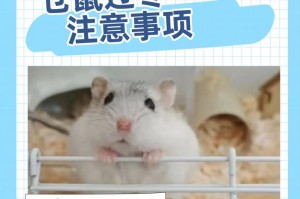 新手饲养仓鼠，选择什么品种最适合？（从性格到饲养难度，了解仓鼠品种特点）