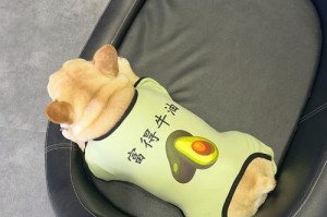 法国斗牛犬VS巴哥犬（法国斗牛犬与巴哥犬的特点与区别，选择适合自己的宠物伴侣）