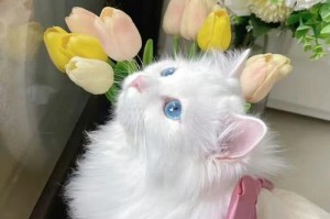 家里养猫不能种什么花（保护宠物猫与美化家园的平衡）