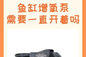 水妖精（如何利用水妖精增加鱼缸中的氧气供应）