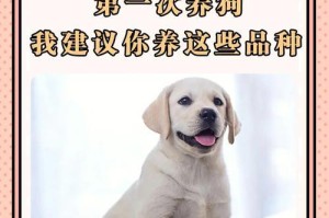 狗的繁殖周期及生育间隔（揭秘狗繁殖的奥秘及相关知识）