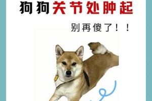 狗狗抽筋的原因和治疗方法（深入探究狗狗抽筋的病因，为其提供有效的治疗）