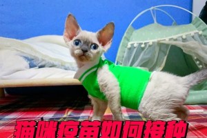 猫咪疫苗间隔时间应多久一次？（探讨猫咪疫苗接种的最佳时间间隔）