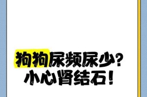 狗狗肾脏疾病的症状及注意事项（了解狗狗肾脏问题，呵护它的健康）