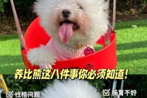 养比熊的注意事项（了解比熊犬的特点，为它们提供良好的养育环境）