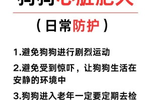 小狗心脏病的症状及预防措施（了解小狗心脏病，守护宠物健康）