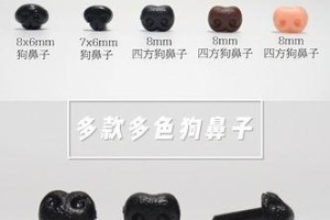 揭秘狗鼻子的湿润与干燥之谜（探索狗鼻子湿润和干燥的原因以及适当的护理方法）