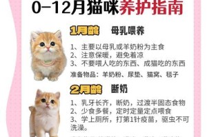 小猫生下来多久拉屎的时间是多久？（了解小猫生下来后的排便习惯和时间间隔）