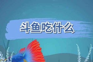 斗鱼的食物选择与饲养技巧（了解斗鱼的食物需求，合理饲养你的宠物鱼）