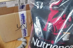 了解Nutrience猫粮（提供优质猫粮选择的Nutrience品牌，满足猫咪的健康需求）
