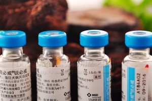 狗三联疫苗（了解狗三联疫苗，让宠物享受全方位的防护）