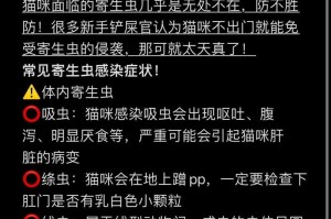 猫外驱虫，多久一次最合适？（保护猫咪免受外部寄生虫的侵害，关键在于定期驱虫）