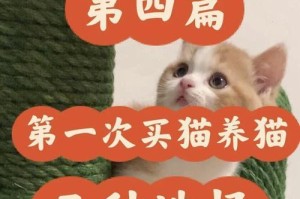 让英国短毛猫爱上你的5个绝招（常摸这5个地方，让英国短毛猫对你更加亲近）