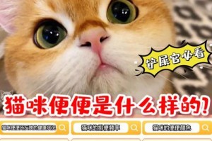 成年猫的正常排便频率及特征（了解猫咪的排便习惯和健康标准，）