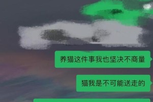 如何判断猫咪怀孕及如何照顾顺利生产（猫咪怀孕的关键标志、怀孕期照顾要点、猫咪生产前的准备）