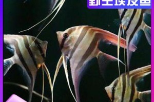 燕鱼养殖（燕鱼养殖水质管理的重要性及换水频率的建议）