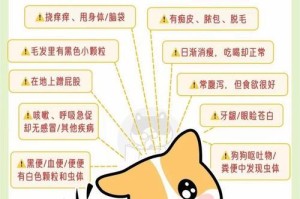以人宠共患病（探讨人宠共患病的益处与挑战，以及如何更好地保护彼此的健康）
