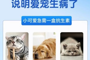 猫咪尿路感染的治疗时长及痊愈时间分析（探究猫咪尿路感染治疗周期、）
