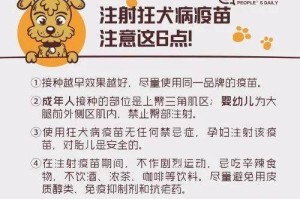 小狗怀孕的注意事项（如何保证小狗健康怀孕和顺利分娩）