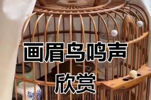 画眉鸟的多样声音（掌握画眉鸟的声音奇观，领略大自然的无穷魅力）