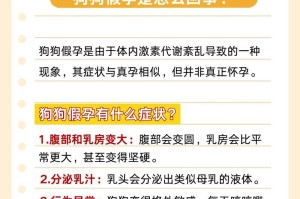 狗狗第一胎的怀孕期是多久？（探究狗狗怀孕期的持续时间及相关注意事项）