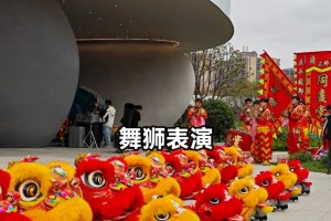 训练表演犬需要多长时间？（探索培养优秀表演犬的时间投入和技巧）