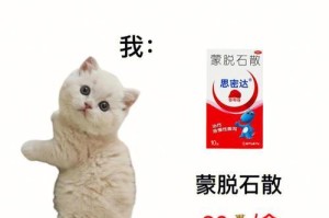 猫咪的健康隐患（省钱小妙招帮助猫咪治病，让它们健康快乐）