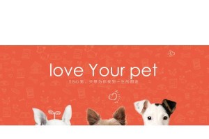 以心宠买狗攻略（关注细节，做个负责的宠物主人）
