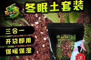 哪些蛋龟可以冬眠？（揭秘蛋龟冬眠的奥秘，分享几种可以冬眠的蛋龟。）