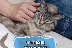 猫咪受凉后的表现及应对方法（关注宠物猫咪受凉的5个主要表现）